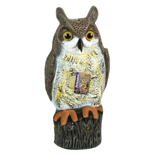 Defenders Owl Defender Statue One Size Brun Brown One Size