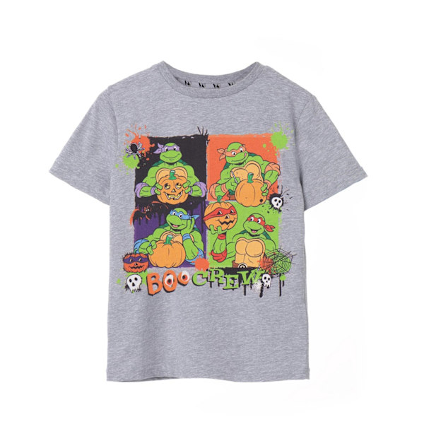 Teenage Mutant Ninja Turtles Barn/Barn Boo Crew Marl T-shirt för barn Grey 9-10 Years