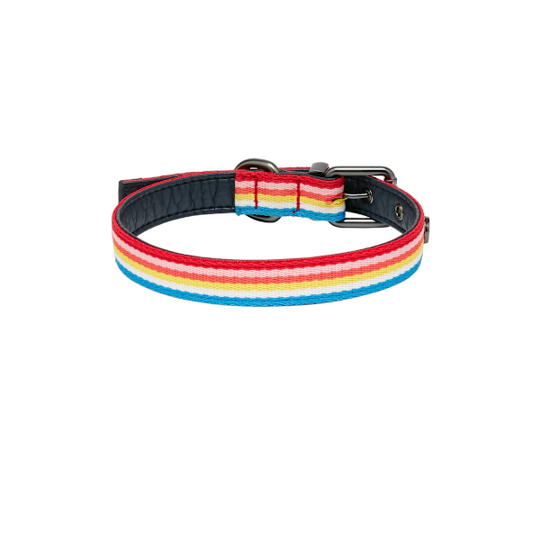 Joules Regnbågsrandig Hundhalsband S-41cm Flerfärgad Multicoloured S-41cm