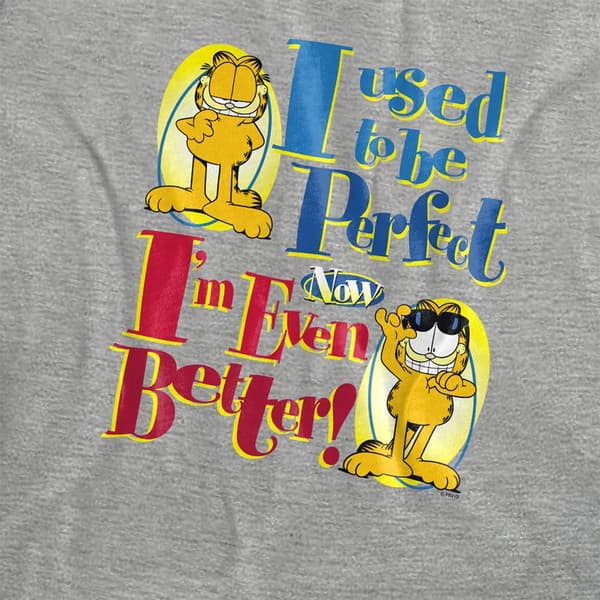 Garfield Dam/Dam Even Better Heather T-shirt S Athletic H Athletic Heather S