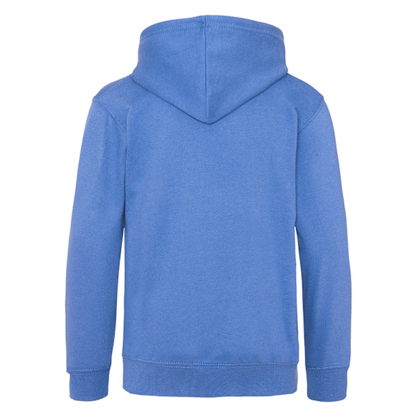 Awdis Barn Unisex Huvtröja / Hoodie / Skolkläder 5-6 År Royal Blue 5-6 Years