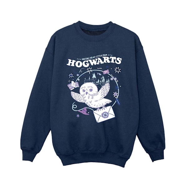 Harry Potter Pojkar Uggla Brev Från Hogwarts Sweatshirt 3-4 År Navy Blue 3-4 Years