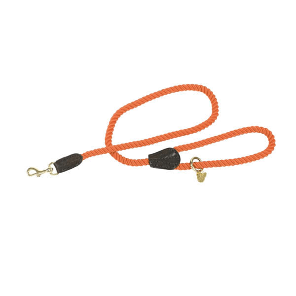 Digby & Fox Twisted Hundkoppel Storlek One Orange Orange One Size