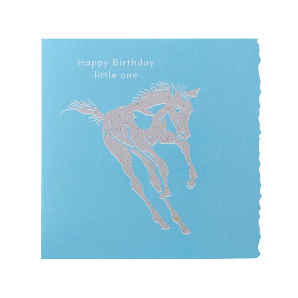 Deckled Edge Color Block Pony Greetings Card One Size Happy Bi Happy Birthday Little One - Foal (L One Size
