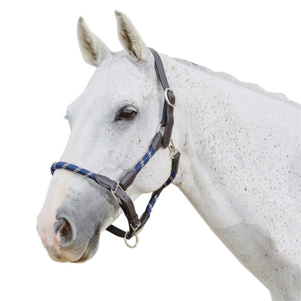 Kincade Läderrep Grimma Varmblod Marinblå/Brun Navy/Brown Warmblood