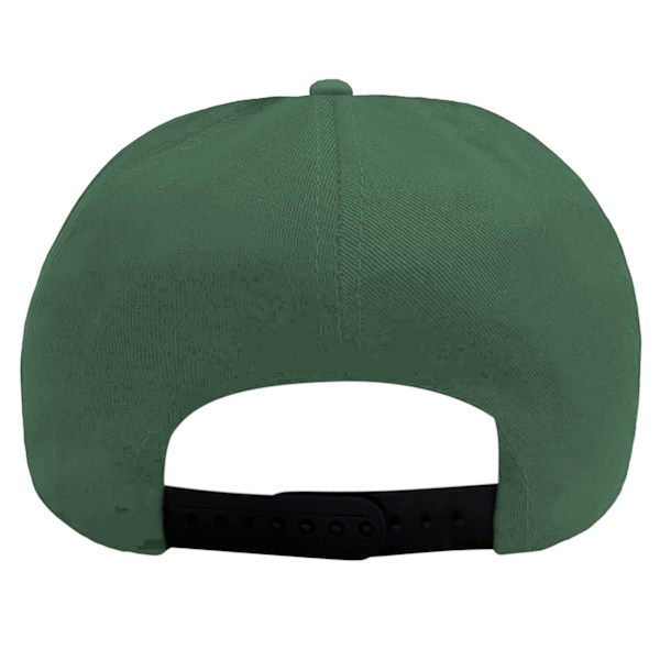 Legend Of Zelda Hyrule Logotyp Snapback Cap One Size Grön Green One Size