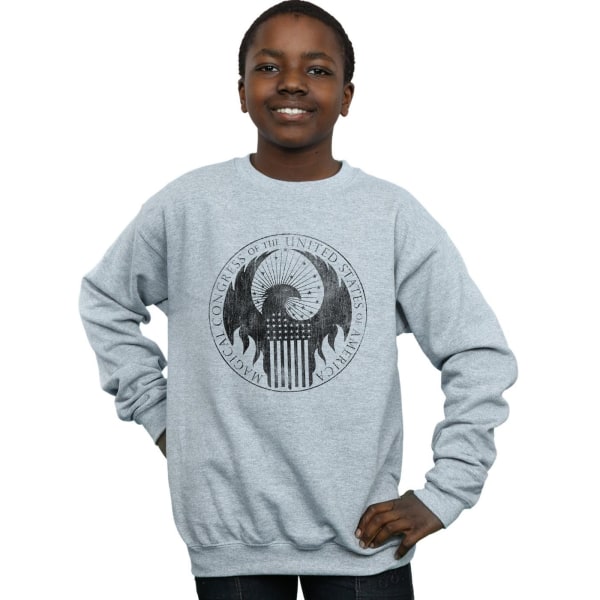 Fantastic Beasts Boys Distressed Magical Congress Sweatshirt 7- Sports Grey 7-8 Years