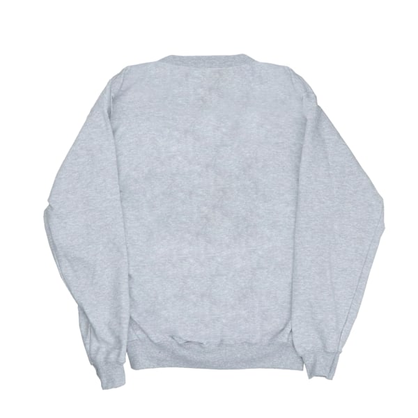 Star Wars Retro Rainbow Sweatshirt för pojkar 7-8 år Sports Grey Sports Grey 7-8 Years