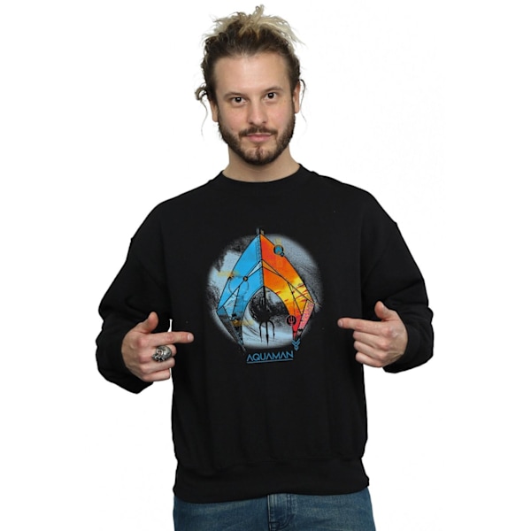 DC Comics Herr Aquaman Tropical Logo Sweatshirt 3XL Svart Black 3XL