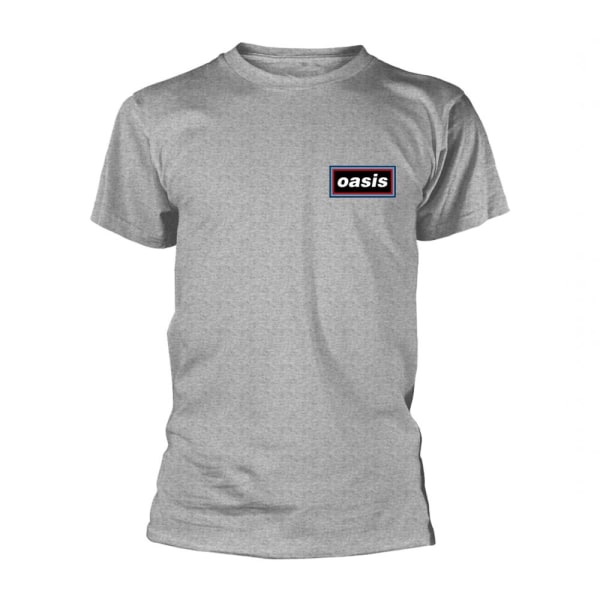 Oasis Unisex Adult Lines T-shirt S Grå Grey S