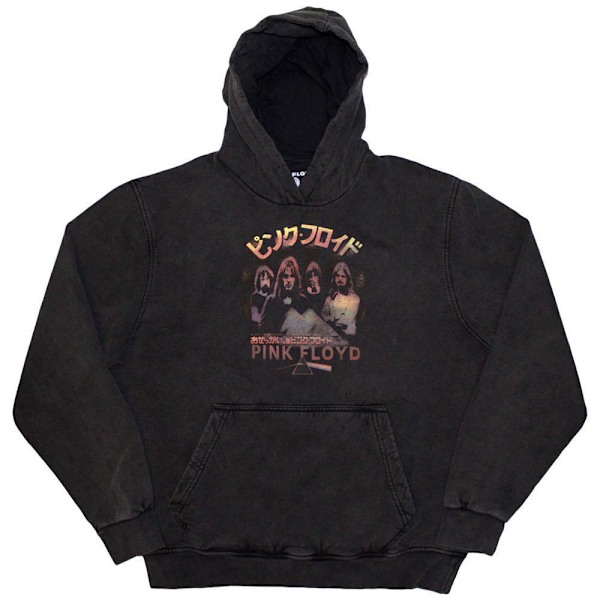 Pink Floyd Unisex Vuxen Japan Poster Tröja med Huvtröja M Charcoa Charcoal Grey M
