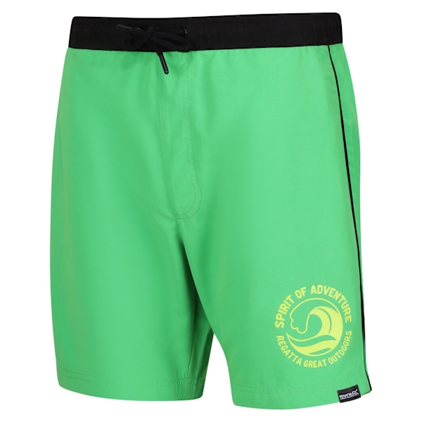 Regatta Bentham badshorts för män XL Fairway Green/Black Fairway Green/Black XL