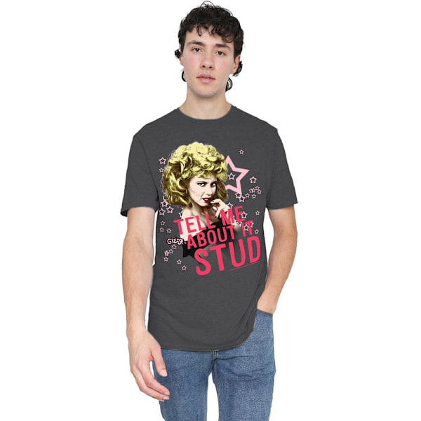 Grease Unisex Vuxen Tell Me About It Stud T-Shirt L Gråmelerad Charcoal L