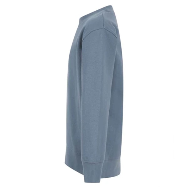 SF Minni Barn/Barn Curved Hem Sweatshirt 7-8 År Stone B Stone Blue 7-8 Years