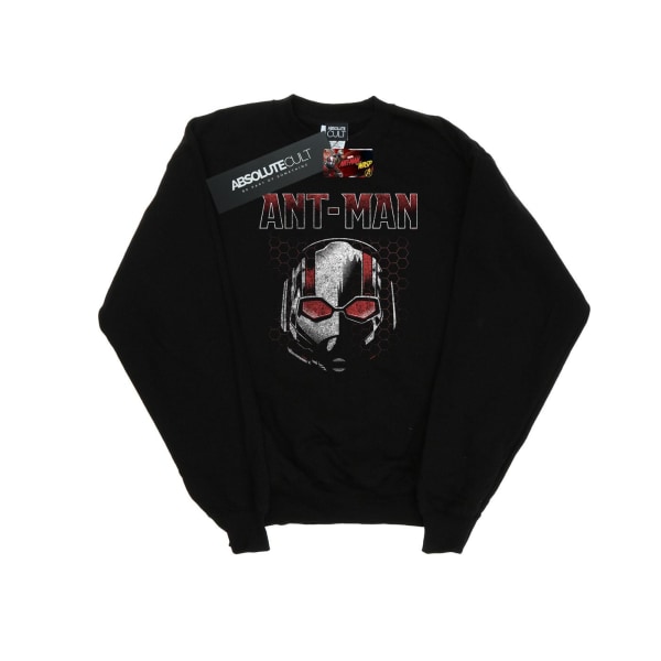 Marvel Boys Ant-Man And The Wasp Pym Technologies Hoodie 5-6 Ye Black 5-6 Years