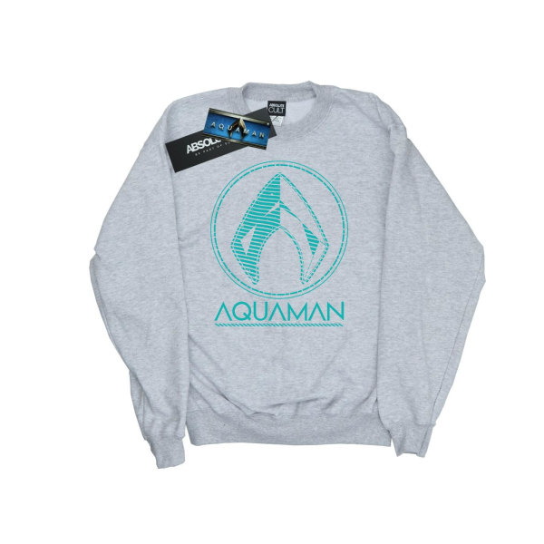 DC Comics Dam/Dam Aquaman Aqua Logo Sweatshirt M Sports G Sports Grey M