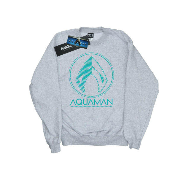 DC Comics Dam/Dam Aquaman Aqua Logo Sweatshirt S Sports G Sports Grey S