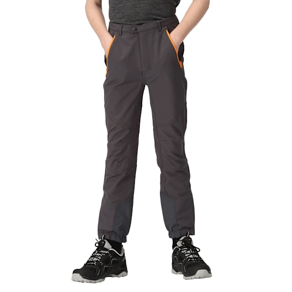 Regatta Barn/Kids Tech Mountain Vandringsbyxor 5-6 År Seal Grey/Apricot Crush 5-6 Years