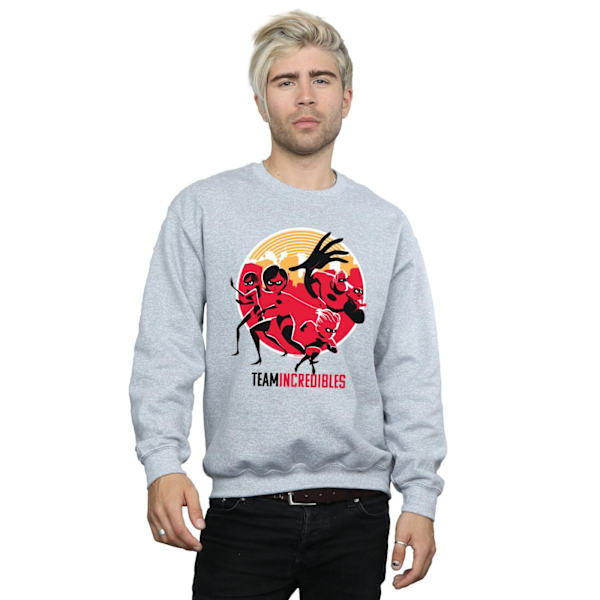 Disney Herr Incredibles 2 Team Incredibles Sweatshirt XL Sports Sports Grey XL