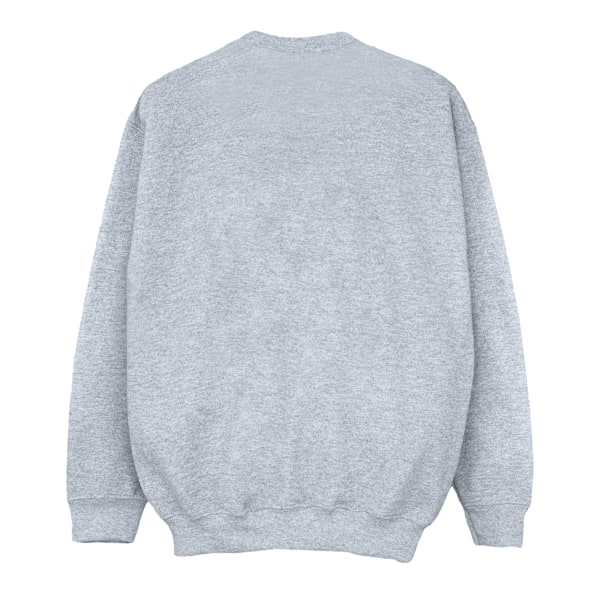 Disney Girls The Lion King Group Sweatshirt 9-11 år Sports G Sports Grey 9-11 Years