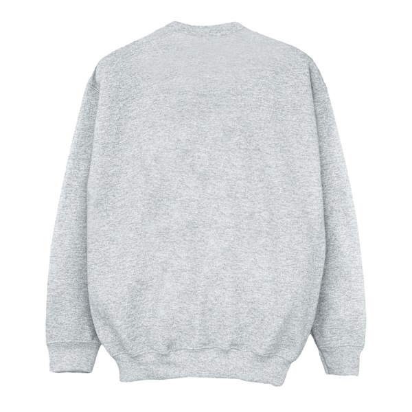 Marvel Dam/Kvinnor Holly Logo Sweatshirt 4XL Sports Grey Sports Grey 4XL