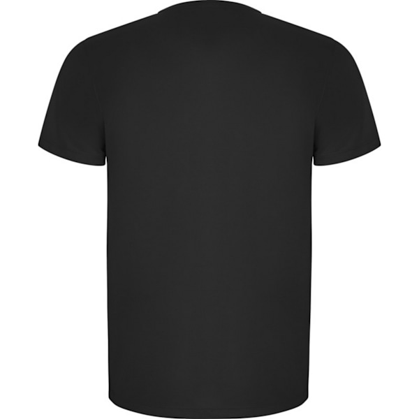 Roly Imola Sport T-shirt med korta ärmar för män, storlek M, mörk blygrå Dark Lead M