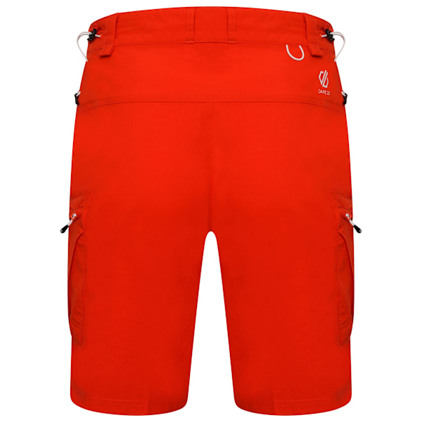 Dare 2B Herr Tuned In II Multi Pocket Vandringshorts 42 tum Burnt Burnt Salmon 42in