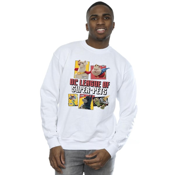 DC Comics Herr DC League Of Super-Pets Profil Sweatshirt 4XL W White 4XL