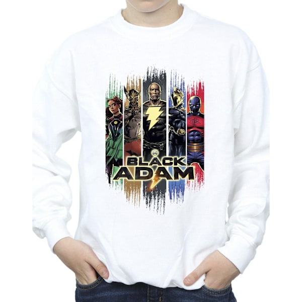 DC Comics Boys Black Adam JSA Komplett Grupp Sweatshirt 3-4 År White 3-4 Years