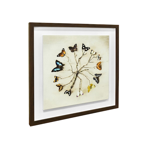 Ian Winstanley Butterfly Harmony Träinramad Plakett One Size Mu Multicoloured One Size