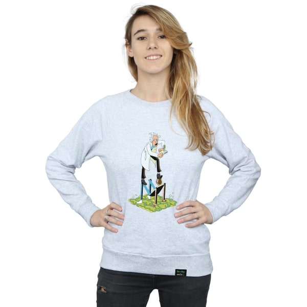 Rick And Morty Stylized Characters Sweatshirt för kvinnor/damer XXL Sports Grey XXL