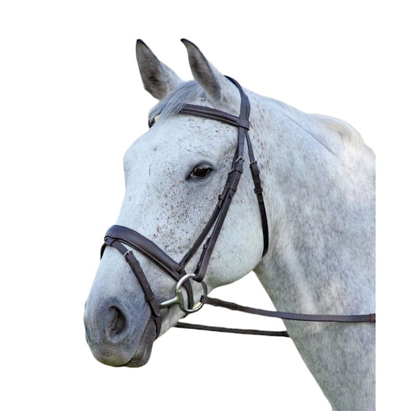 Aviemore Comfort Fit Läder Hästgrimma Ponny Havana Havana Pony