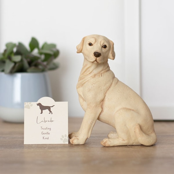 Something Different Labrador Prydnad En Storlek Gul Yellow One Size