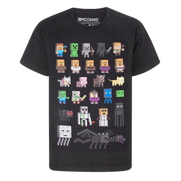 Minecraft Barn/Kids Sprites T-shirt med korta ärmar 7-8 år Black 7-8 Years