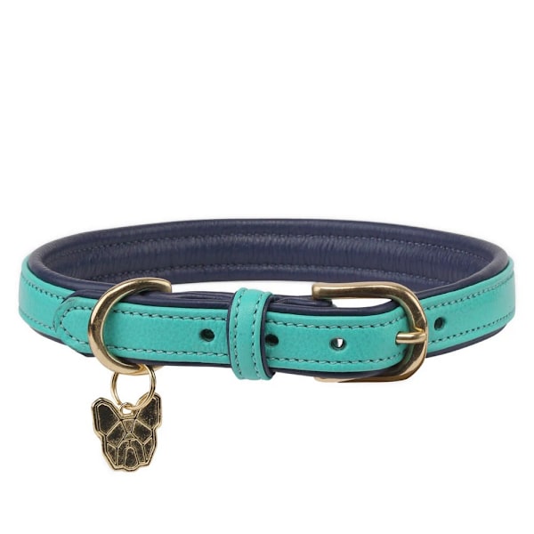 Digby & Fox Läderfodrat Hundhalsband XXL - Halsmått: 65cm-70cm Aqua XXL - Neckline: 65cm-70cm