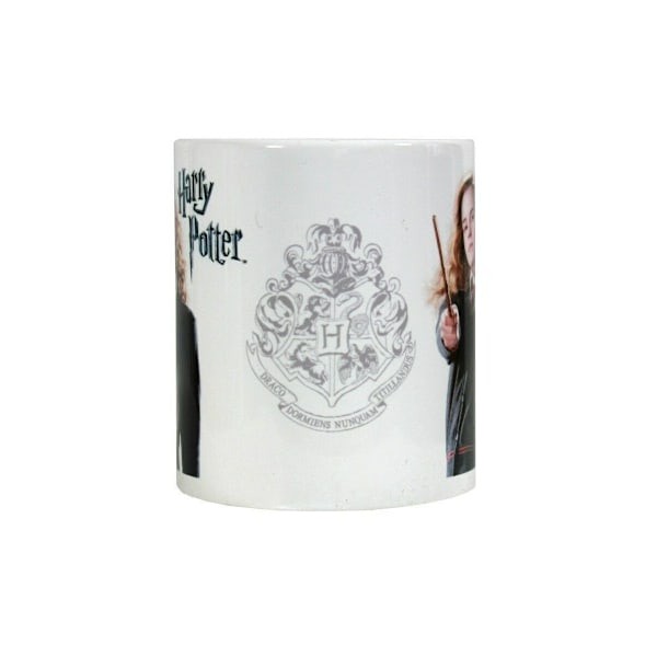Harry Potter Hermione Mugg En Storlek Flerfärgad Multicoloured One Size