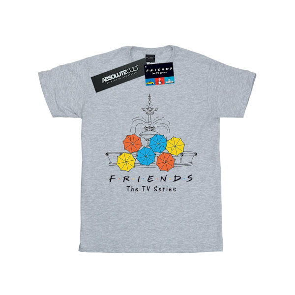 Friends Dam/Damer Fountain And Umbrellas Bomull Boyfriend T-Shirt Sports Grey L