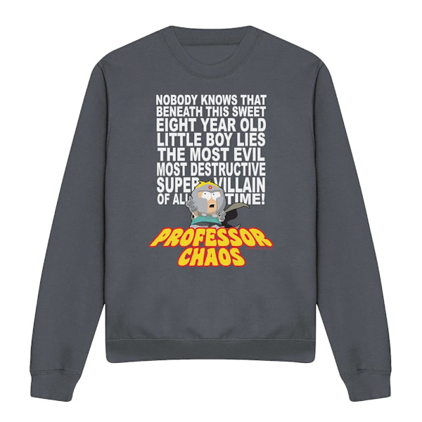 South Park Unisex Vuxen Professor Chaos Sweatshirt L Gråmelerad Charcoal L