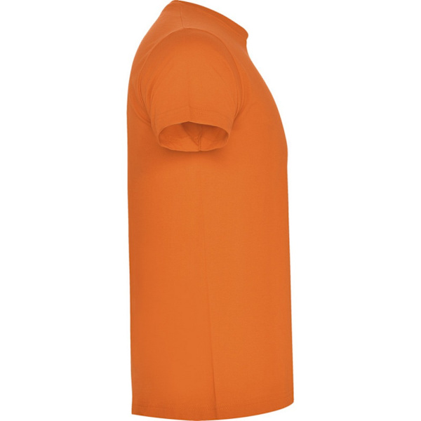 Roly Unisex Adult Atomic T-Shirt M Orange Orange M