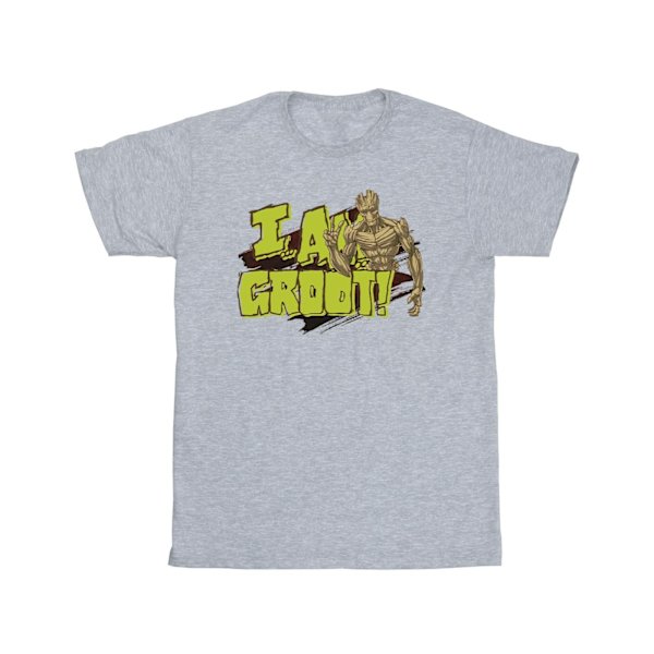 Guardians Of The Galaxy Boys I Am Groot T-shirt 5-6 år Sport Sports Grey 5-6 Years