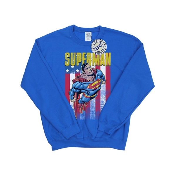 Superman Herr Flight Sweatshirt S Kungsblå Royal Blue S