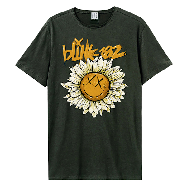 Amplified Unisex Vuxen Daisy Blink 182 T-Shirt M Kolgrå Charcoal M