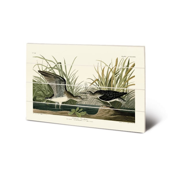 John James Audubon Ensam Becasin Trä Mikroplakett 29,5 cm White/Green/Black 29.5cm x 20cm