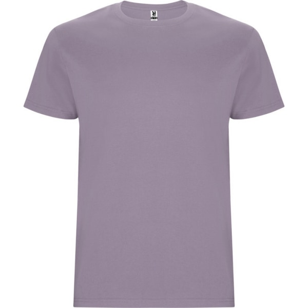Roly Barn/Barn Stafford Kortärmad T-shirt 5-6 År Lavendel Lavender 5-6 Years