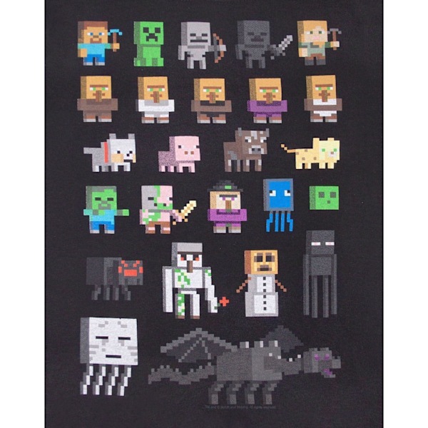 Minecraft Officiell Pojkar Sprites Karaktärer T-shirt 7-8 År Svart Black 7-8 Years