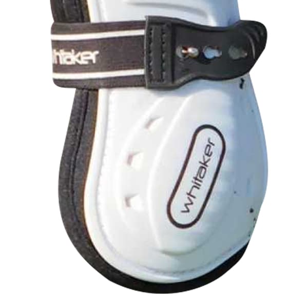 Whitaker Bingley Senskydd för häst (4-pack) Full White White Full
