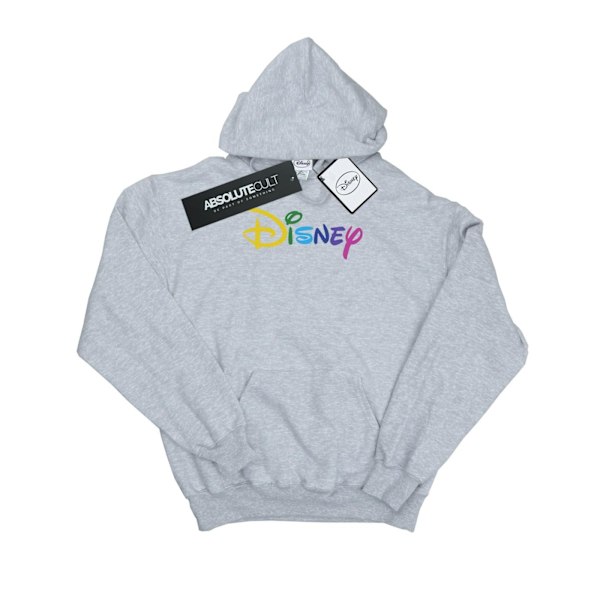 Disney Girls Colour Logo Hoodie 9-11 år Sports Grey Sports Grey 9-11 Years