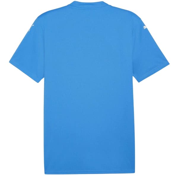 Puma Herr Teamglory Tröja T-shirt L Blå/Vit Blue/White L