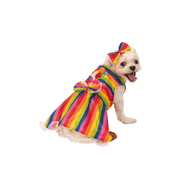 Bristol Novelty Rainbow Dog Costume L Flerfärgad Multicoloured L