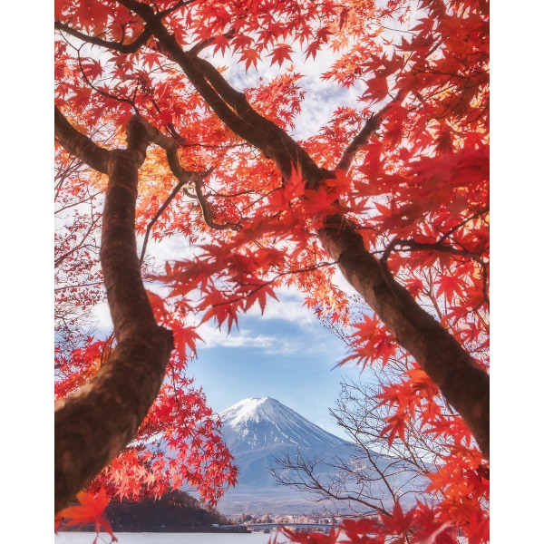 Pyramid International Autumn Leaves Mount Fuji Print 50c Light Blue/Orange/Brown 50cm x 40cm